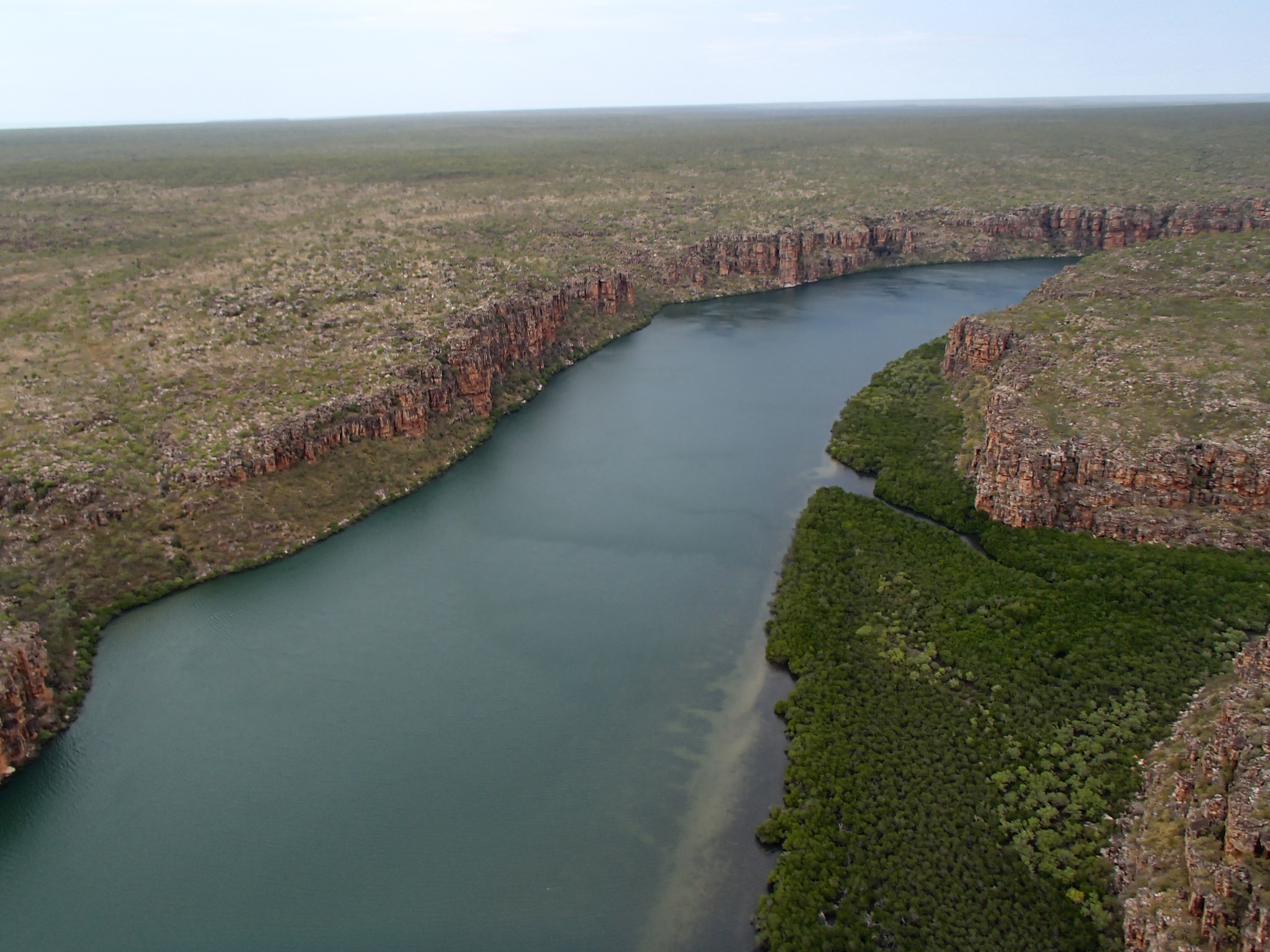 King George Sound, a drowned river valley in the Kimberley region of northern Western Australia, is developed in flat-lying Paleoproterozoic quartzite of the King Leopold Sandstone. The lush green vegetation are mangroves developed on tidal mudflats. Rock and regolith sampling in this remote area of Australia is only possible by helicopter. - Paul Morris, Gov of WA