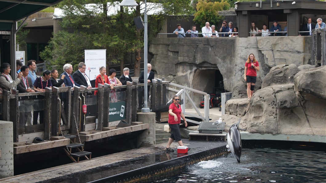 AAG gala dinner at the Vancouver aquarium